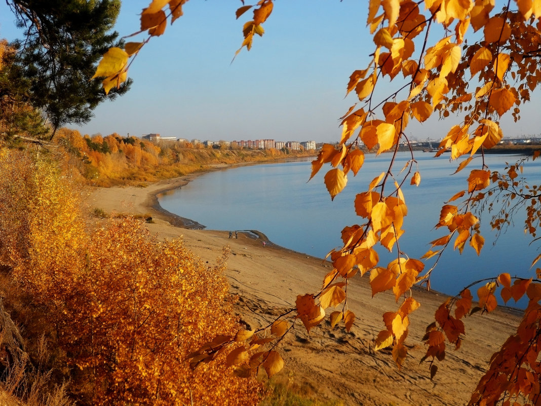 Золотая осень - OlesiaVS .