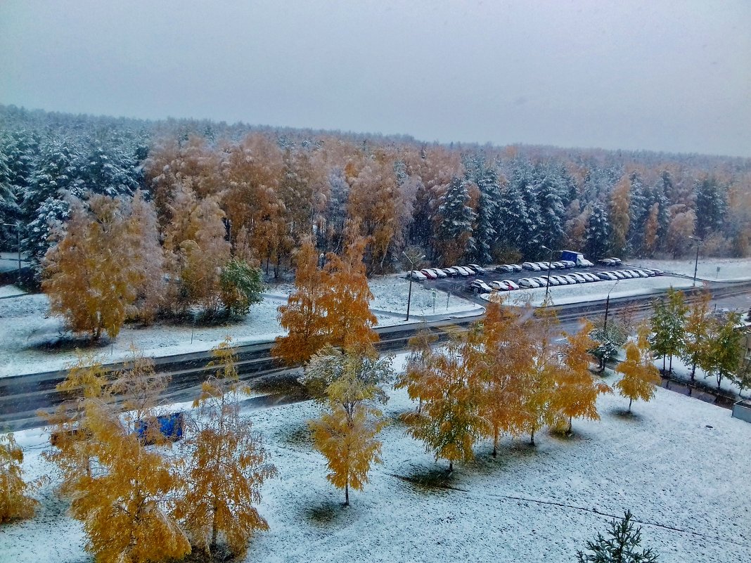 первый снег. Утро - Владимир 