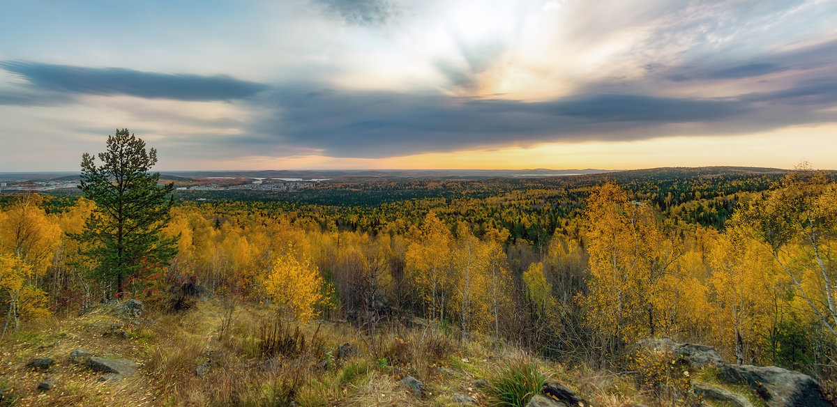 Панорама осени - Vladimbormotov 