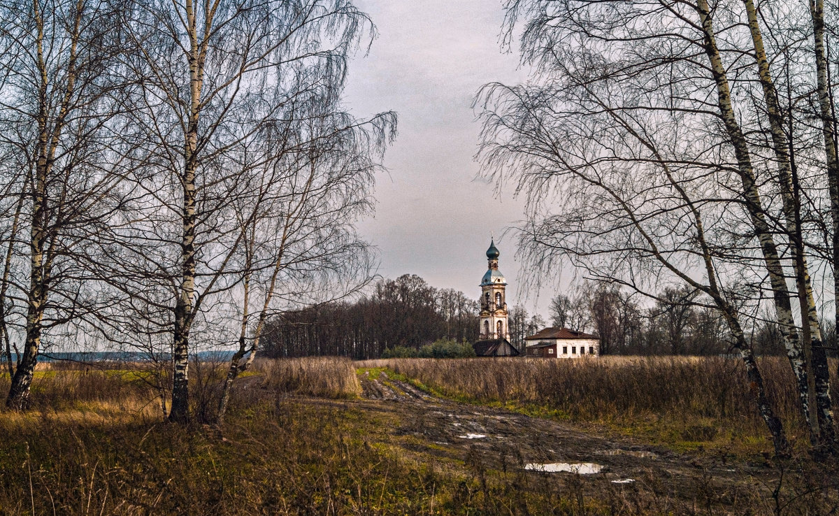 Хмурая, дождливая... - Нина Богданова