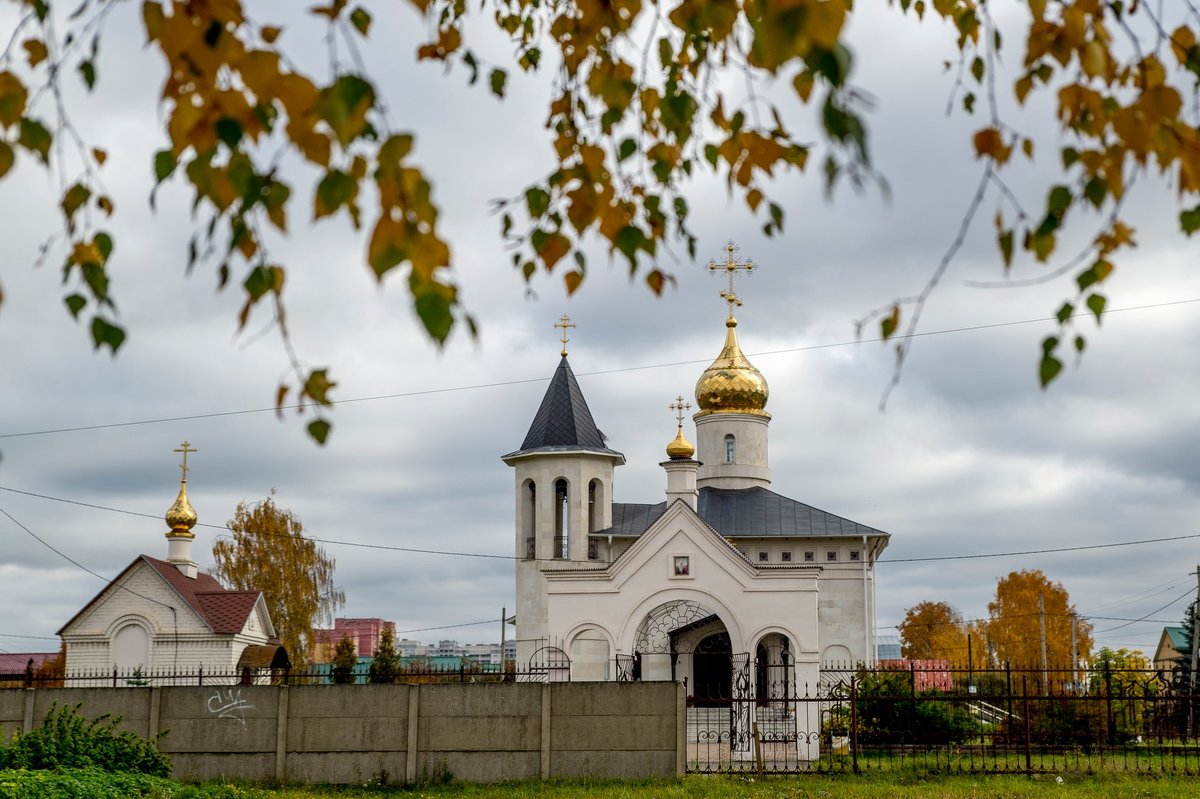 *** - Игорь Волков