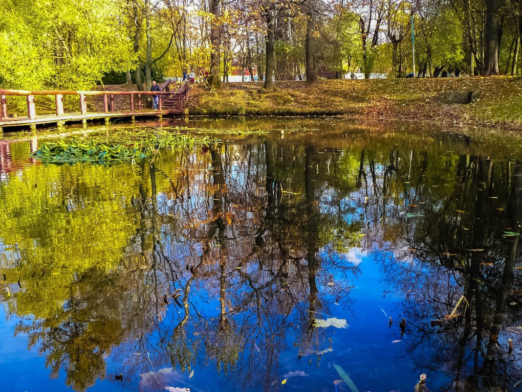 Воронцовский пруд в парке «усадьба воронцово»