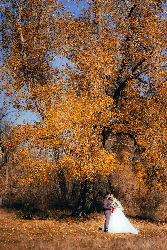 Осенняя свадьба - Андрей Липов