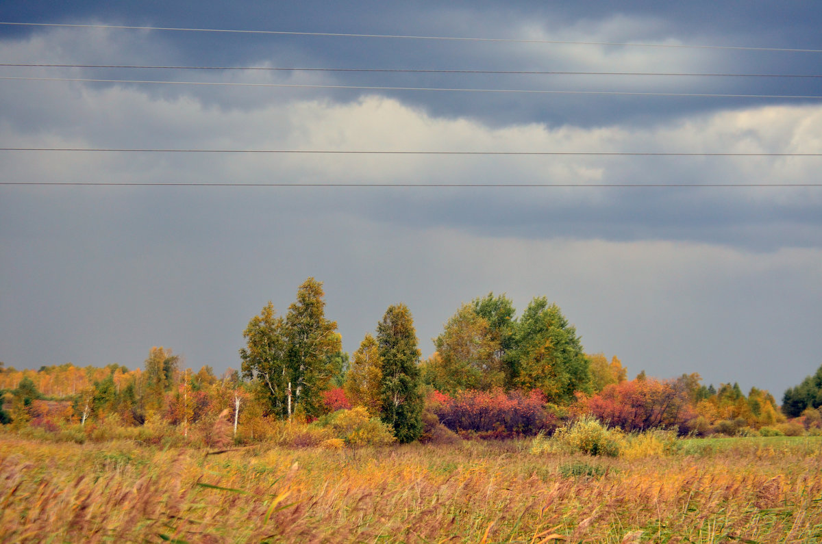 Осенний пейзаж - Tim Andrews
