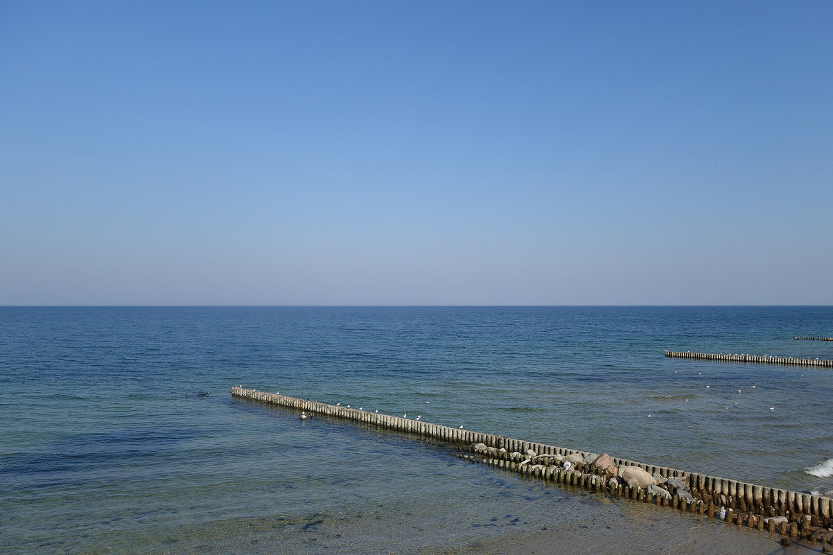 На море полный штиль - Маргарита Батырева