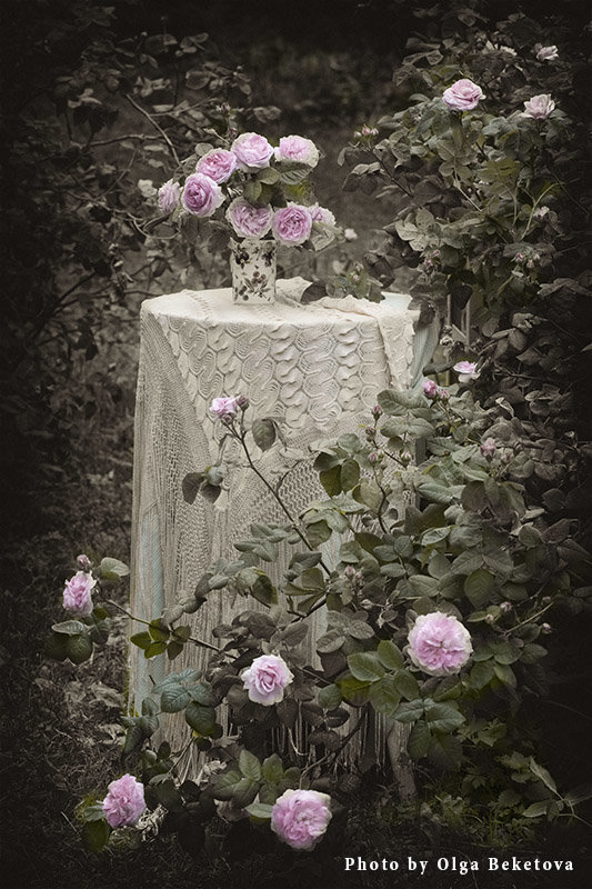 В саду - Ольга Бекетова