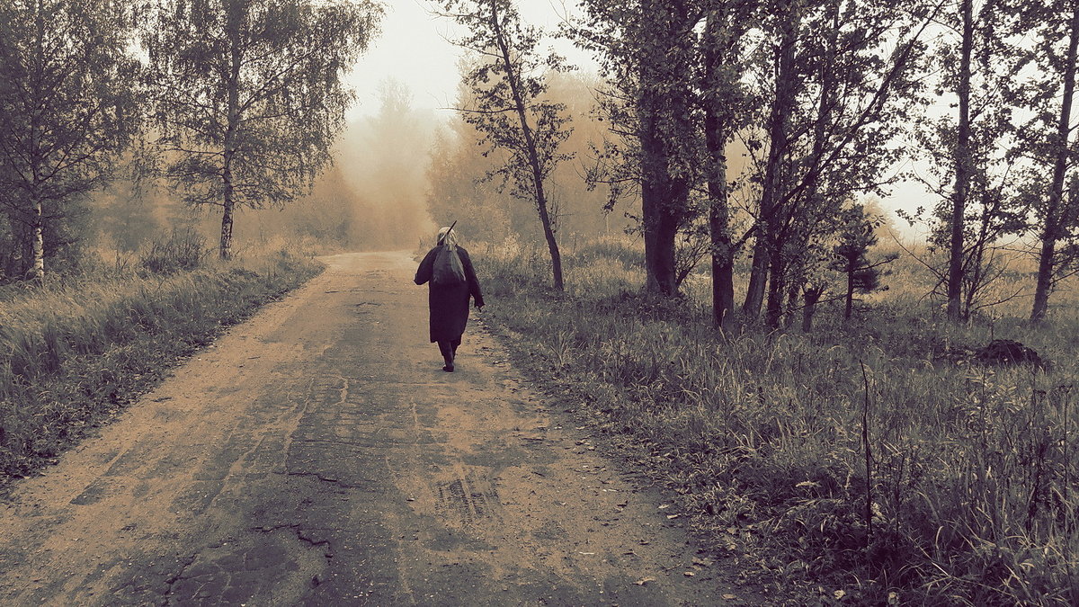 Дорога в туманную осень - Николай Белавин