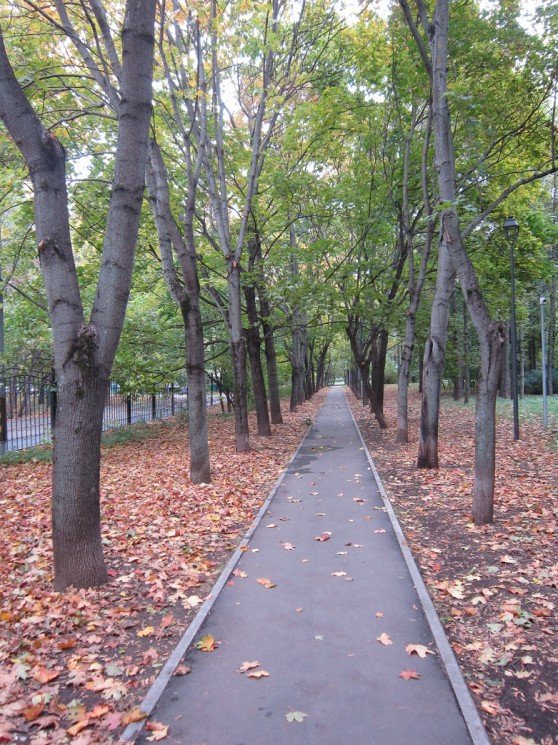 В парке в сентябре - Дмитрий Никитин