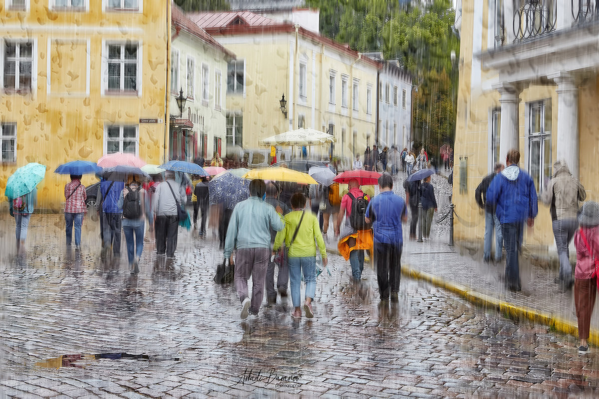 Fotostuudio Akolit, Arkadi Baranov fotograaf, Tallinn - Аркадий  Баранов Arkadi Baranov