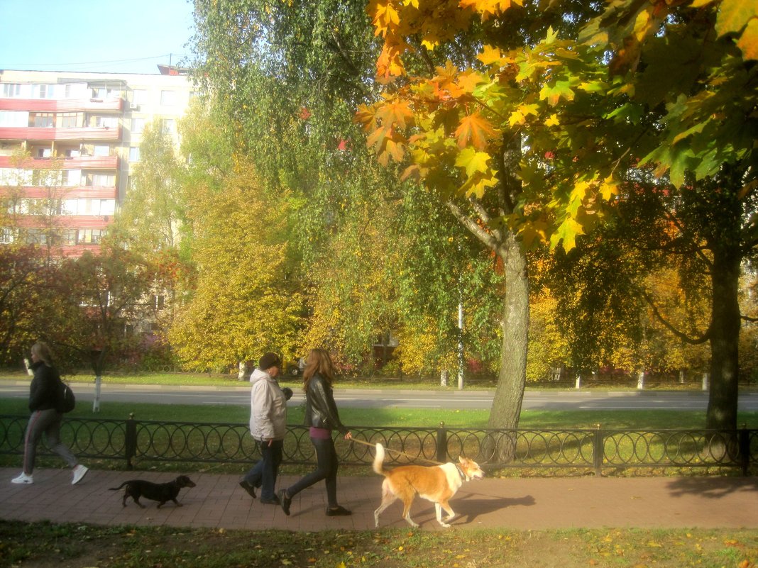 Осенние прогулки - Елена Семигина