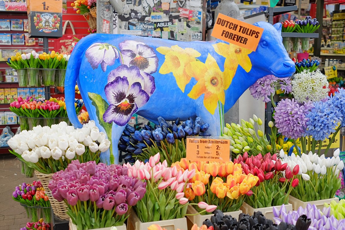 Голландские тюльпаны Bloemenmarkt Цветочный рынок Амстердам - wea *