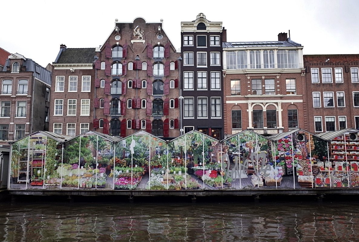 Bloemenmarkt Цветочный рынок Амстердам - wea *