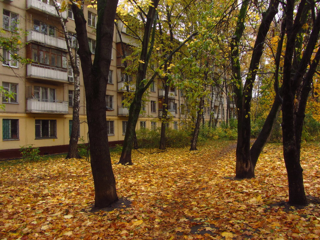 В Москве зрелая осень - Андрей Лукьянов