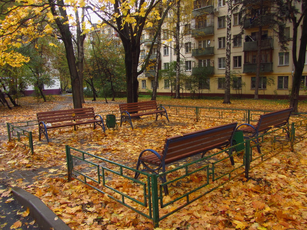 В Москве зрелая осень - Андрей Лукьянов