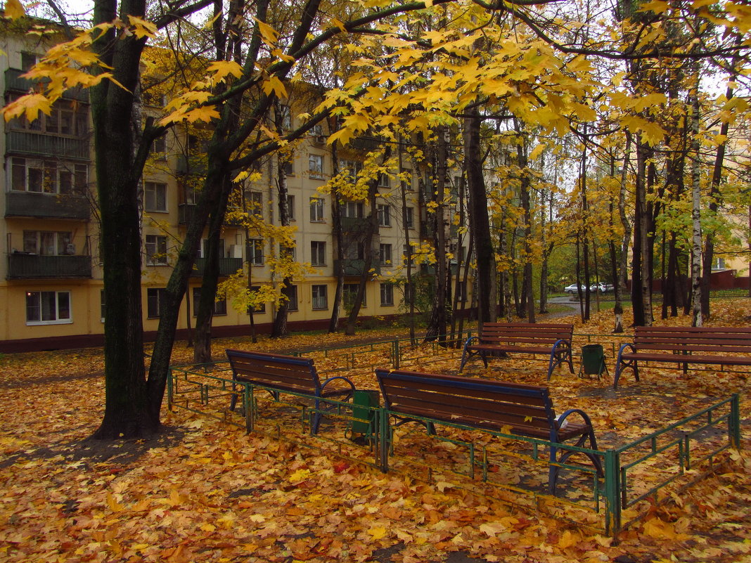 В Москве зрелая осень - Андрей Лукьянов