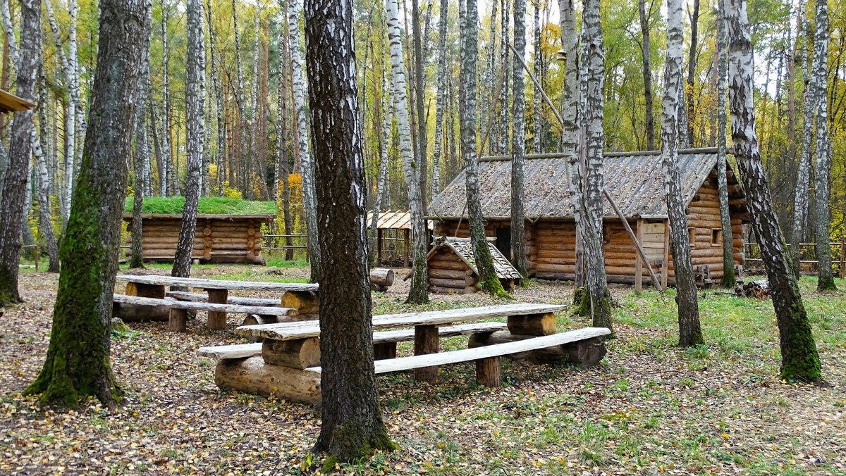 Реконструкция исторических событий (из поездок по области). - Милешкин Владимир Алексеевич 