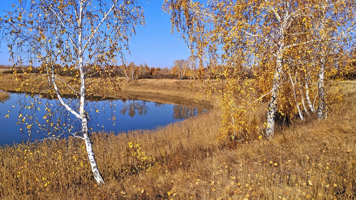 Осень - Владимир Зыбин