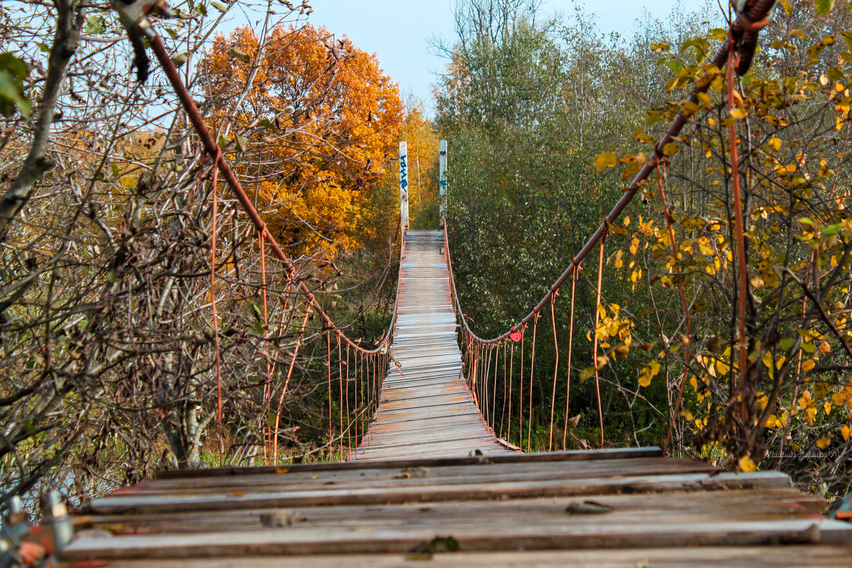 Мост, летящий через Осень... - Владимир Зеленцов