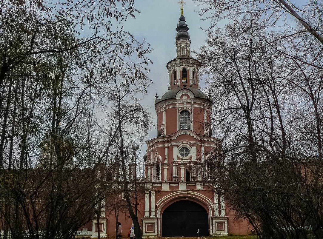 Москва. Донской монастырь. - Ирина 