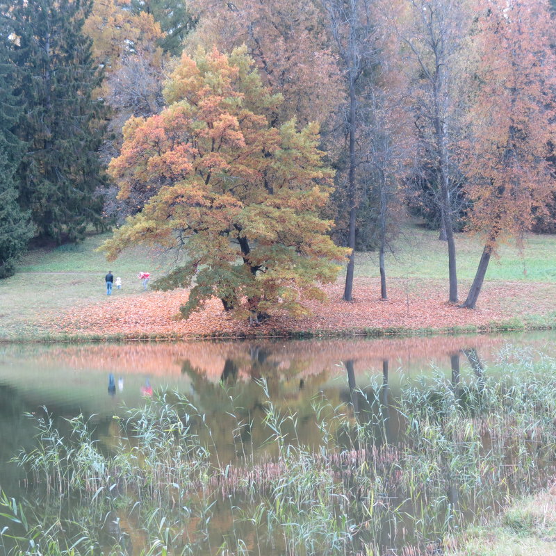 Осенние краски - Людмила 