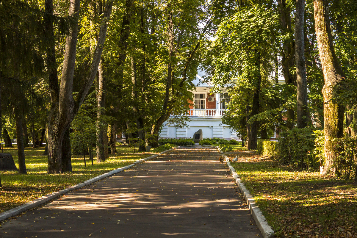 Студенческий городок - оксана 