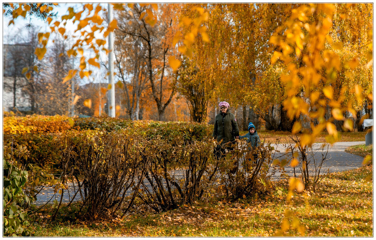 В парке... - Игорь Волков