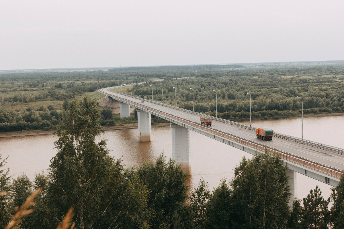 мост - Наталья Мальцева