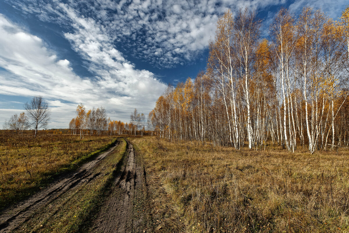 img_1500 - Сергей Козлов