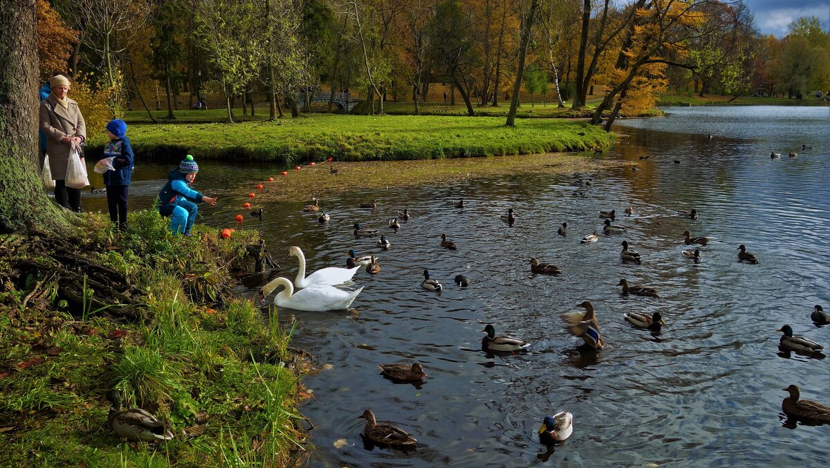 Осенняя идиллия на Белом озере... - Sergey Gordoff