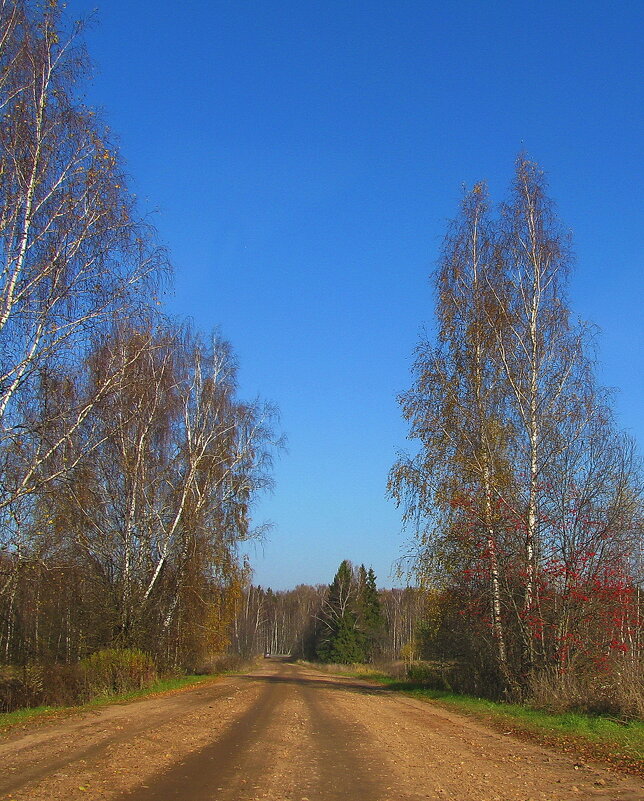 Осень - Людмила Смородинская