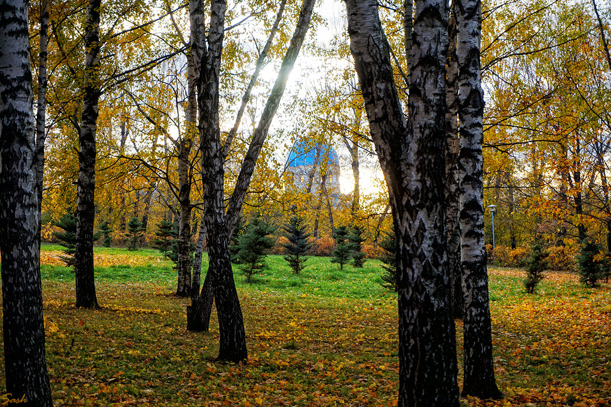 Осень в парке - Alex Sash