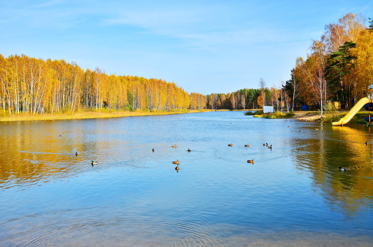 Осеннее озеро - Miola 