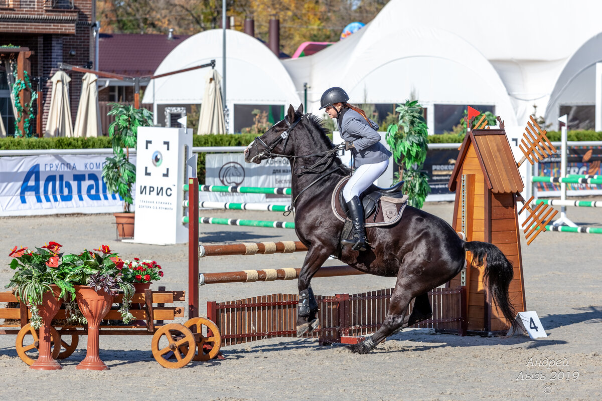 Кубок КСК Golden Horse 2019-10-13 - Андрей Lyz