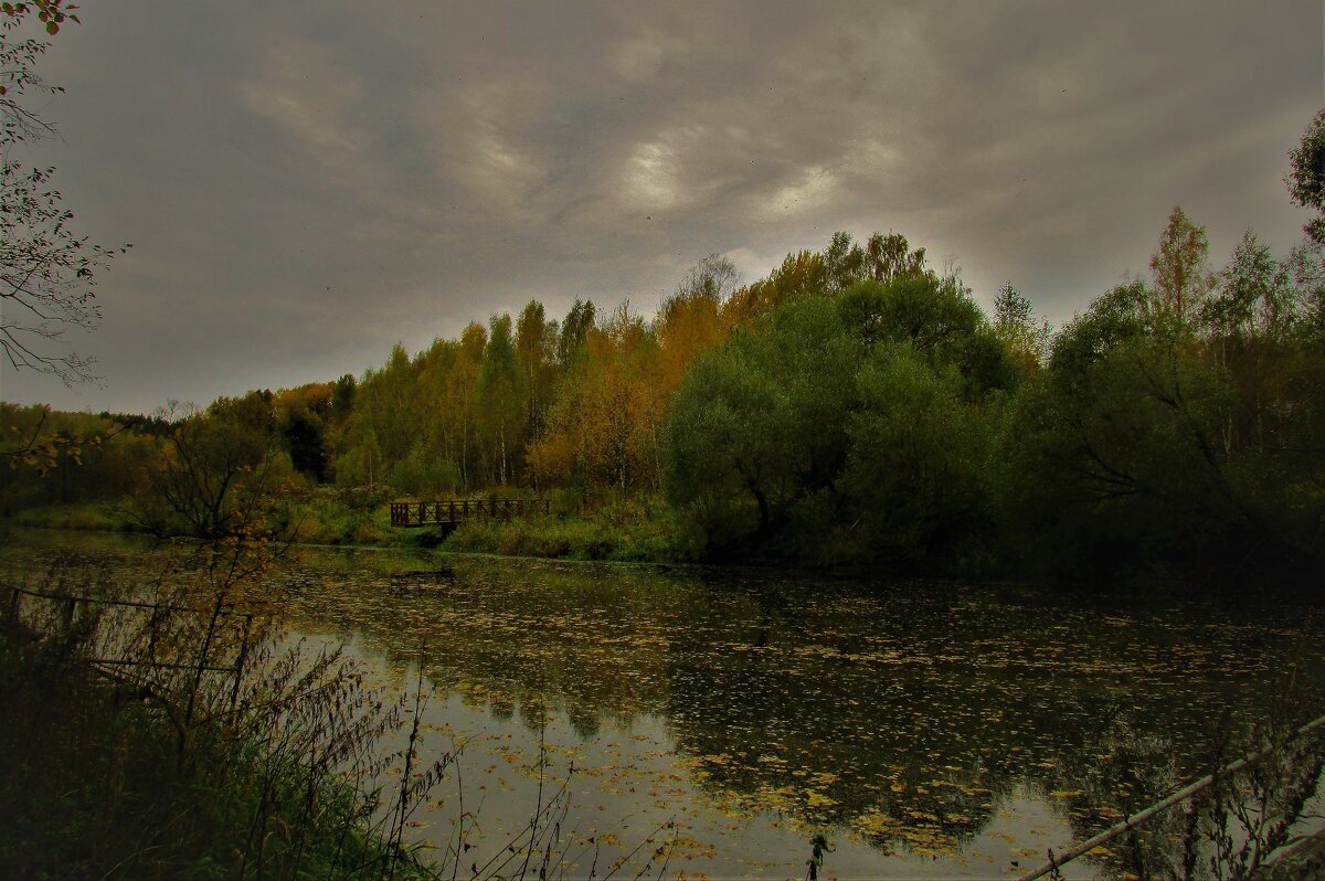 На Десне реке листьев половодье... - Владимир и Ир. Кв.