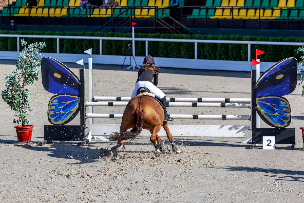 Кубок КСК Golden Horse 2019-10-13 - Андрей Lyz