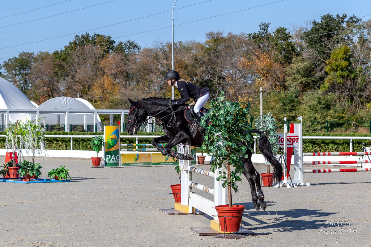 Кубок КСК Golden Horse 2019-10-13 - Андрей Lyz