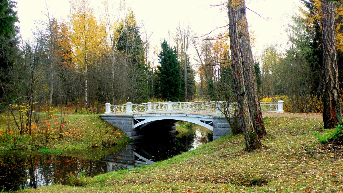 Мостики  Ал. парка ЦС - Сергей 