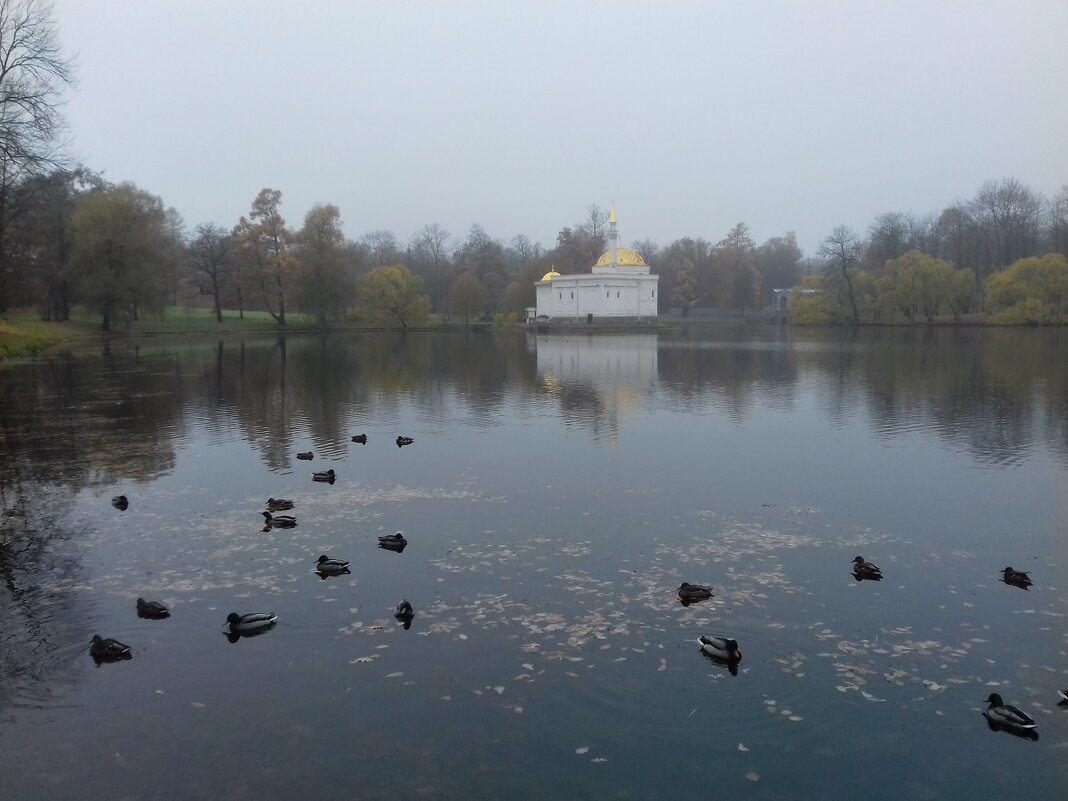 Осень - Сапсан 