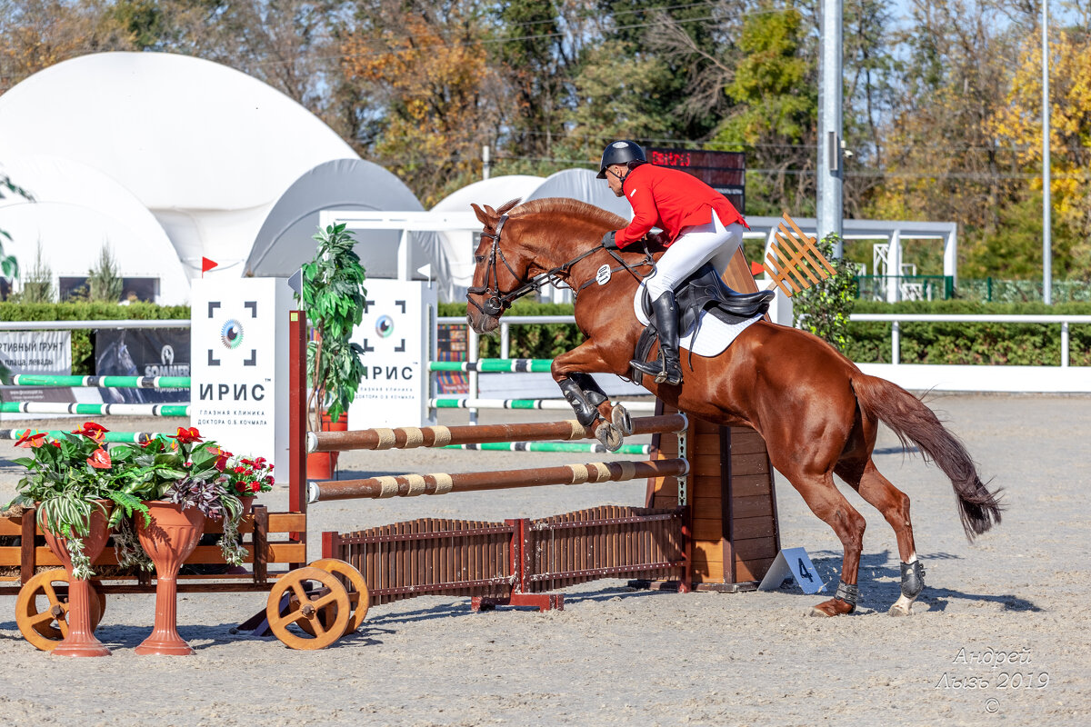 Кубок КСК Golden Horse 2019-10-13 - Андрей Lyz