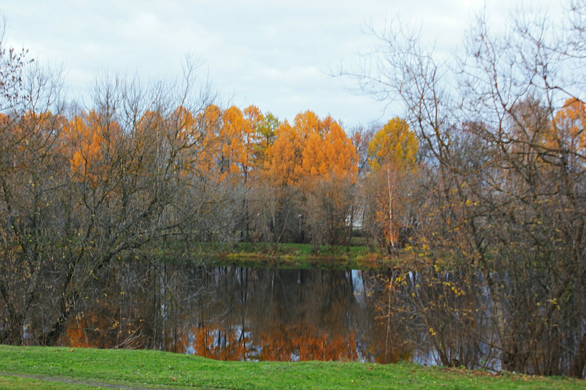 Осень - Сергей Кочнев