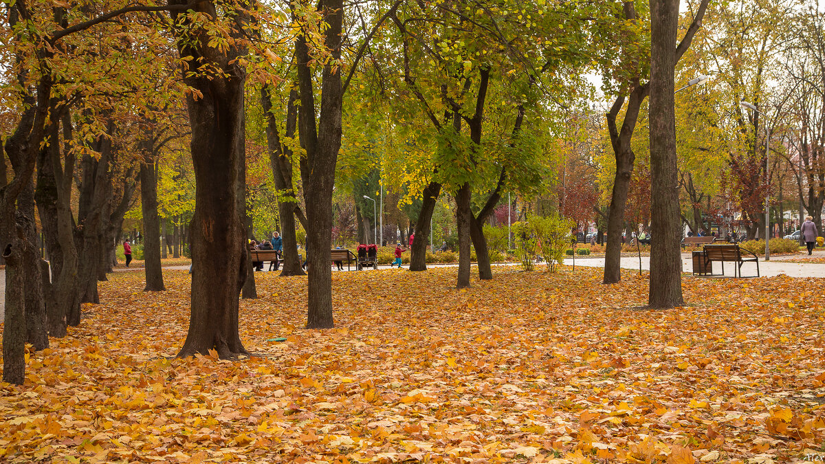 Осень в городе - Alex .