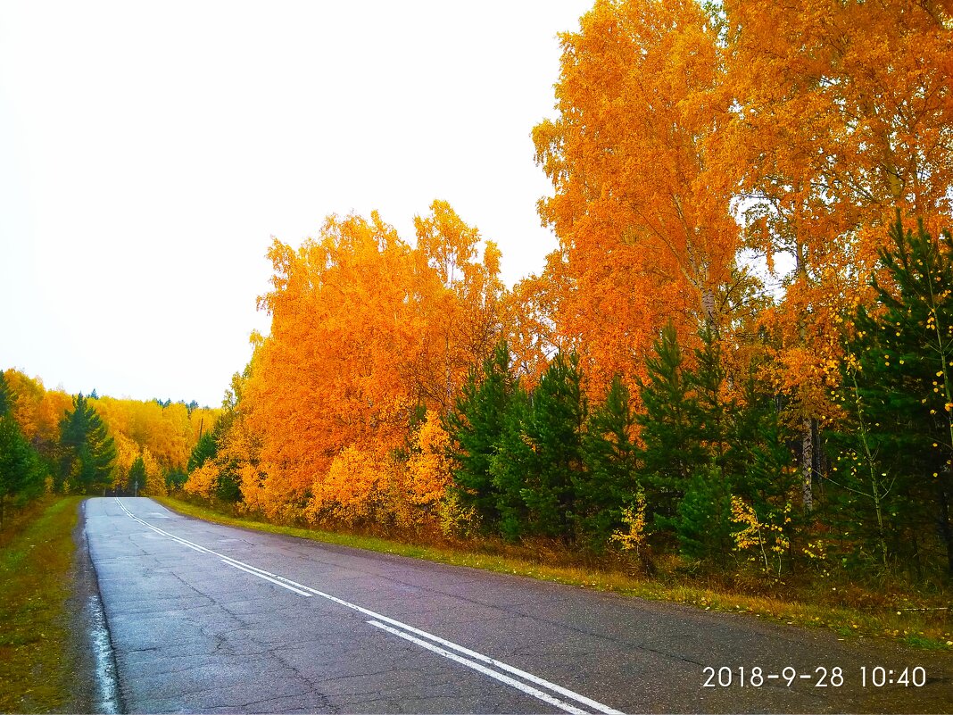 Осень в разгаре - Василий 