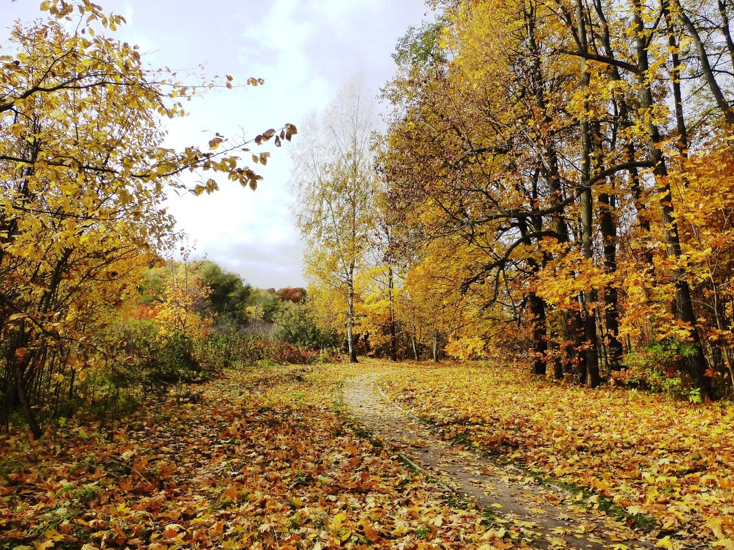 Дорожка в осеннем парке - Лидия Бусурина