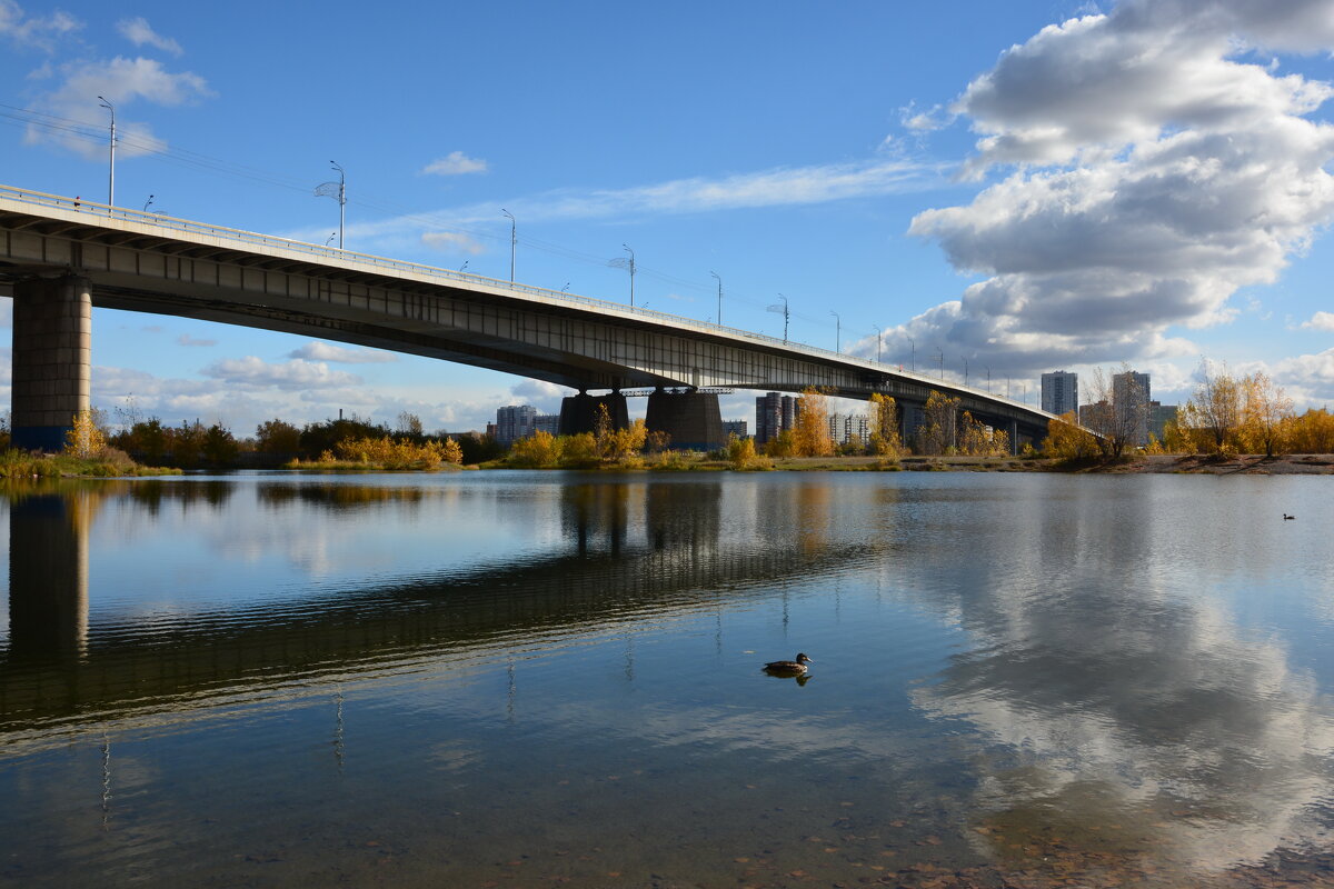Мост в осень - Светлана Грызлова