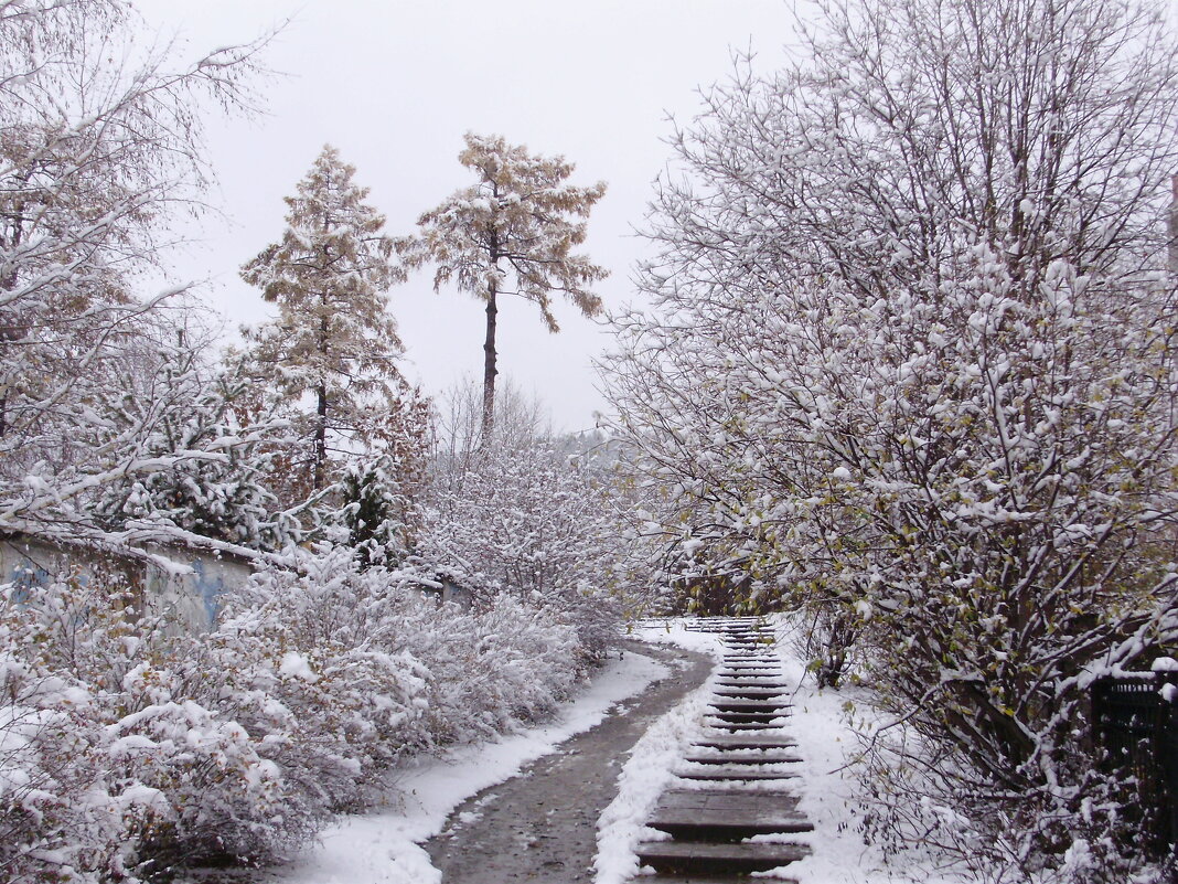 Тропинка в снежном объятии - Иван Семин