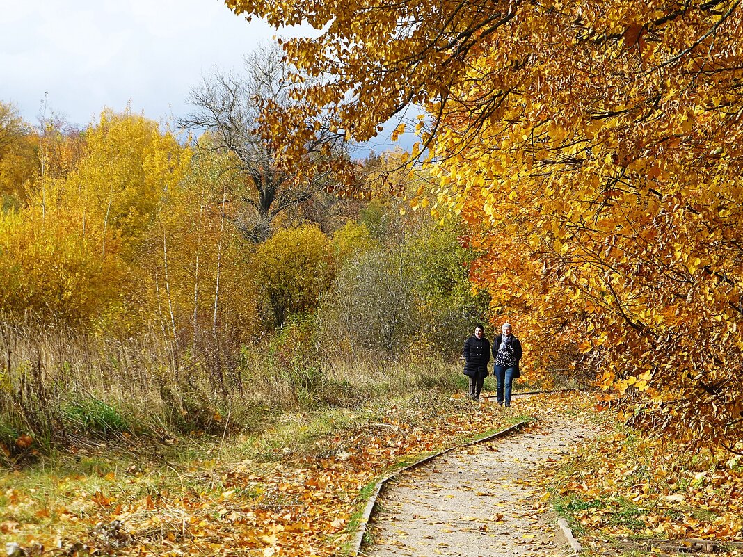 Прогулка В Осеннем Парке Фото
