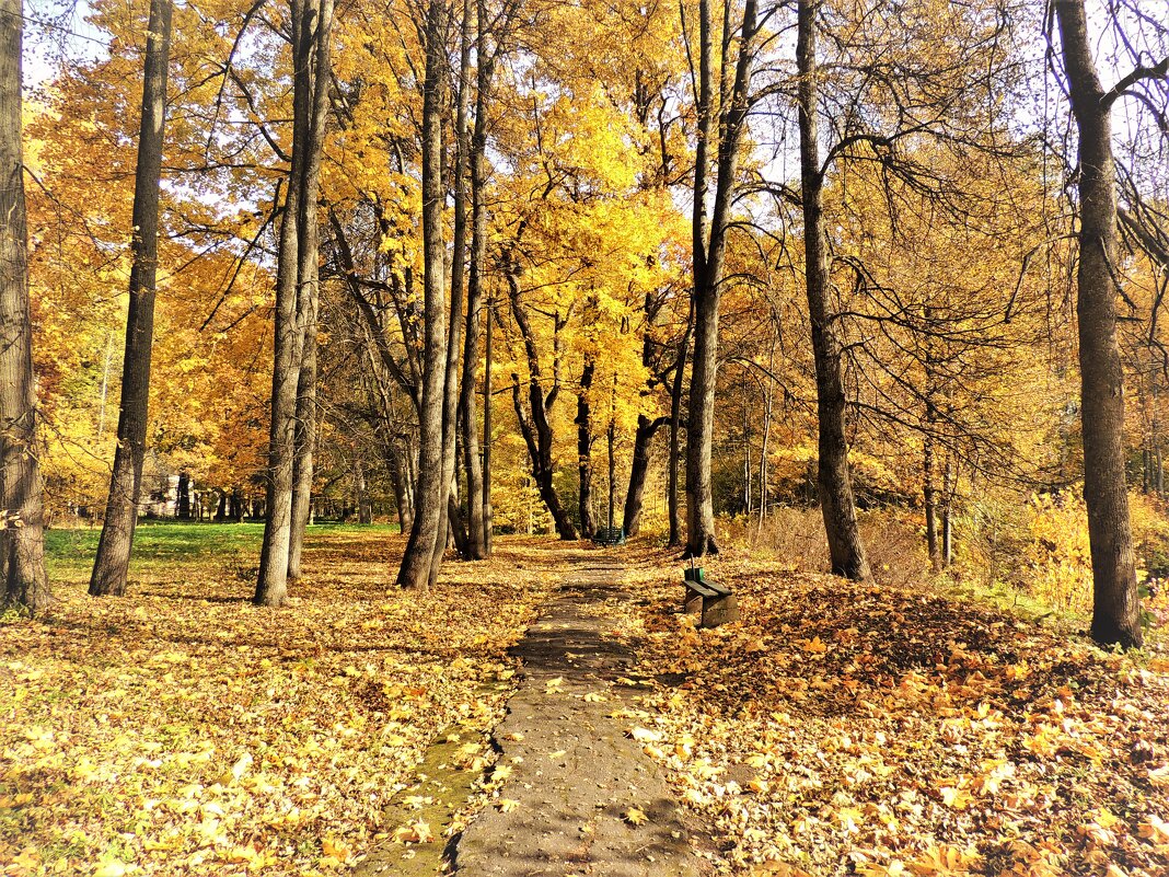 Загрустила осень в парке... - Вячеслав Маслов