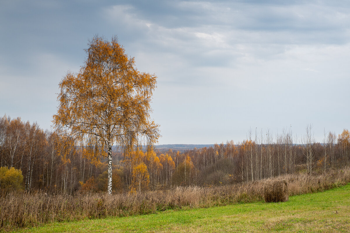 Осень - Евгений Фомин