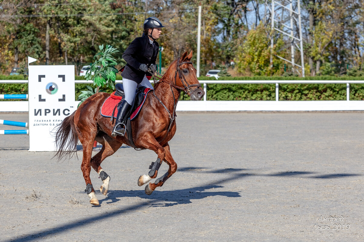 Кубок КСК Golden Horse 2019-10-13 - Андрей Lyz