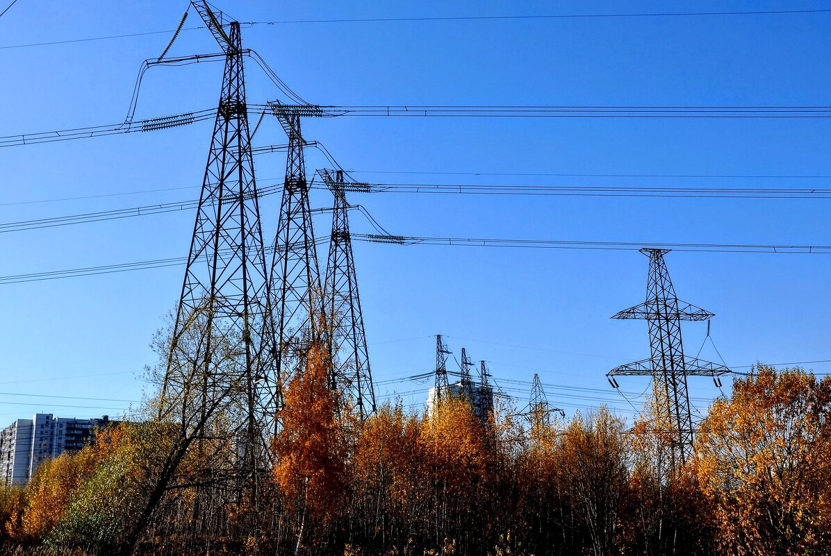 «Природа — это есть разумная власть плюс электрификация всей страны.»...:) - Анатолий Колосов